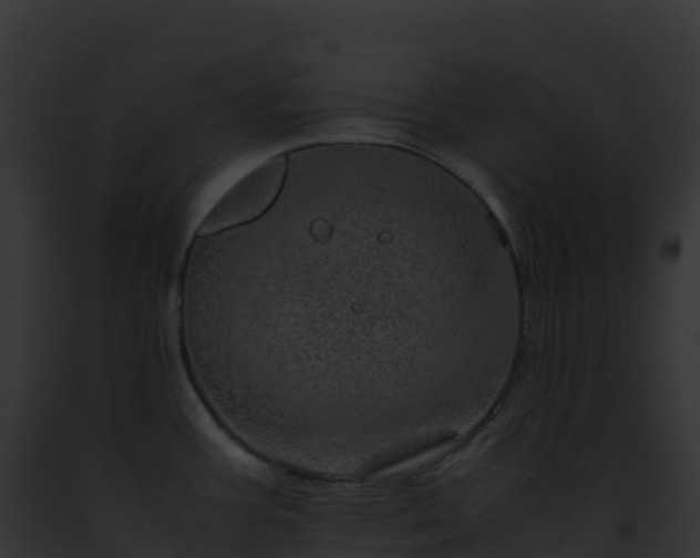 X0000093101387200710031450