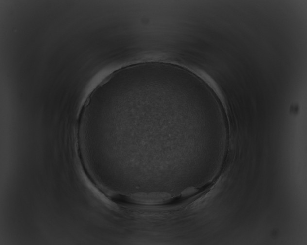 X0000093101389200710031450