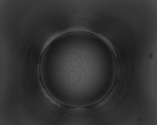 X0000093101390200710031450