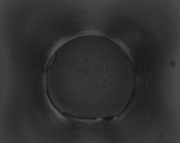 X0000093101391200710031450