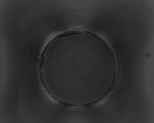 X0000093101392200710031450