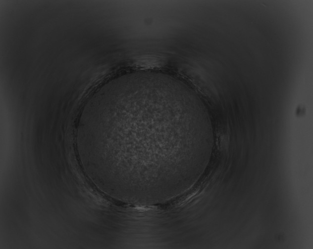 X0000093101393200710031449