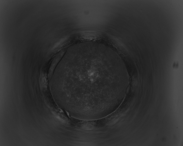 X0000093101394200710031449