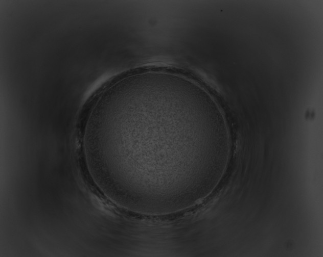 X0000093101400200710031449