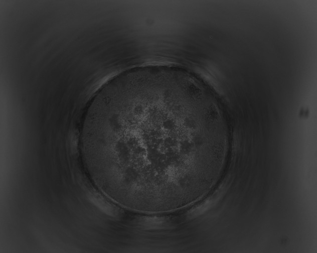 X0000093101401200710031449