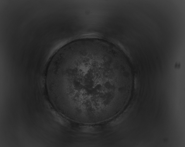 X0000093101405200710031449