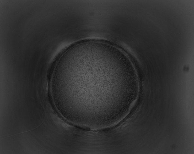 X0000093101408200710031449