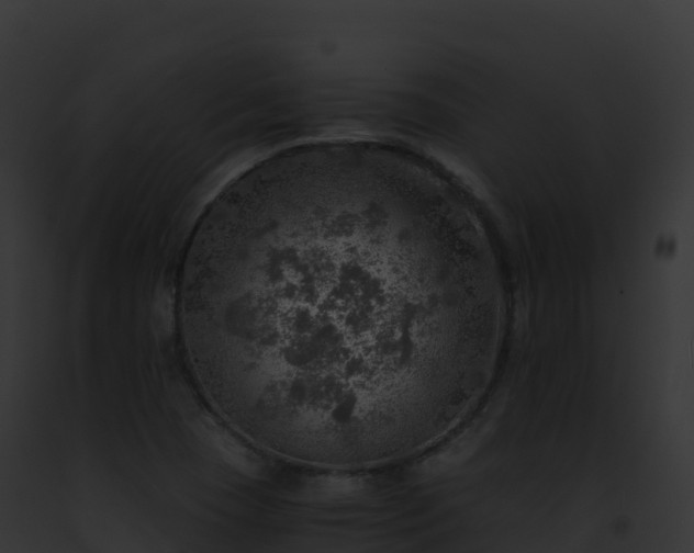 X0000093101409200710031449