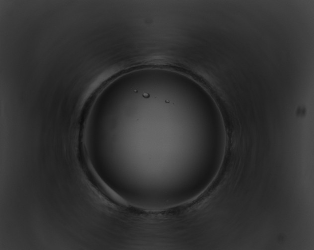 X0000093101410200710031449