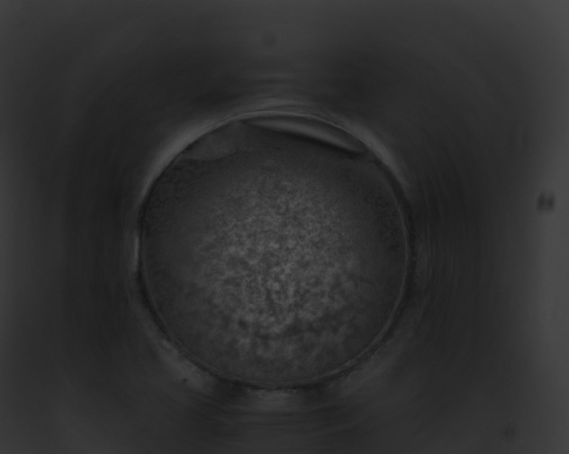 X0000093101413200710031449