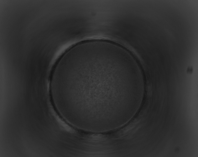 X0000093101416200710031449