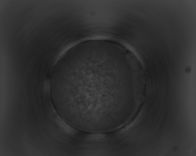 X0000093101417200710031449