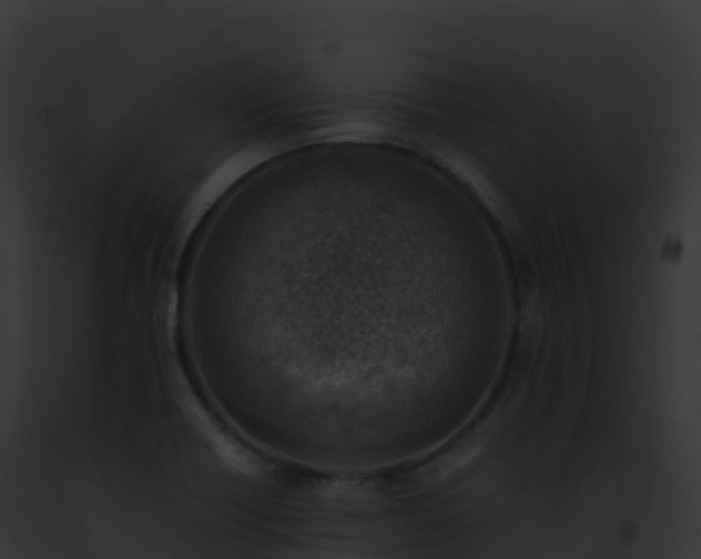 X0000093101418200710031449