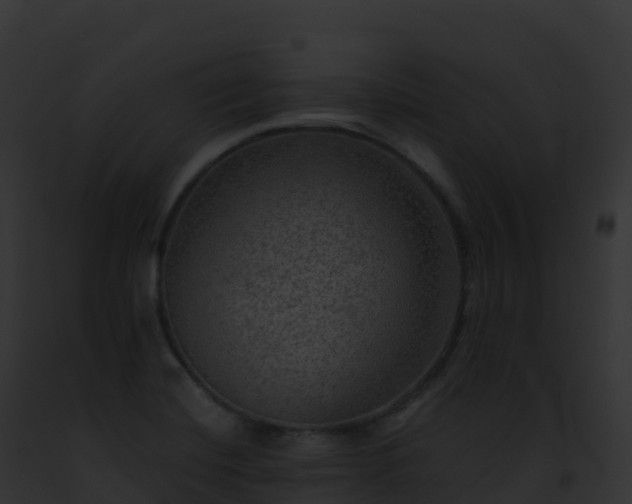 X0000093101420200710031449