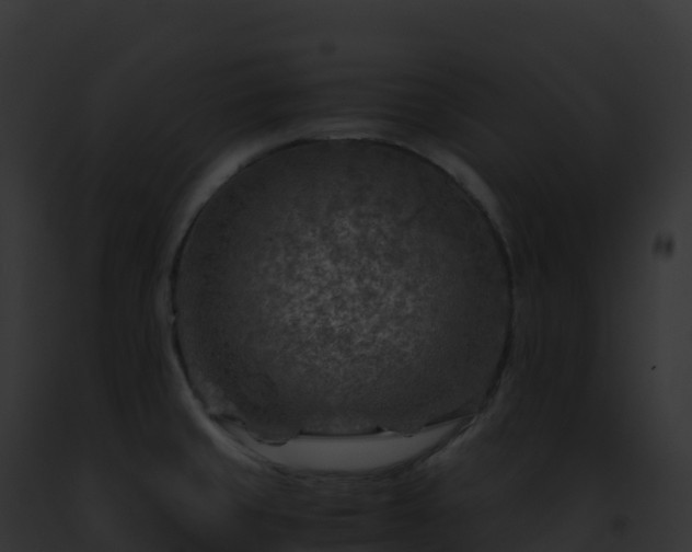 X0000093101429200710031449