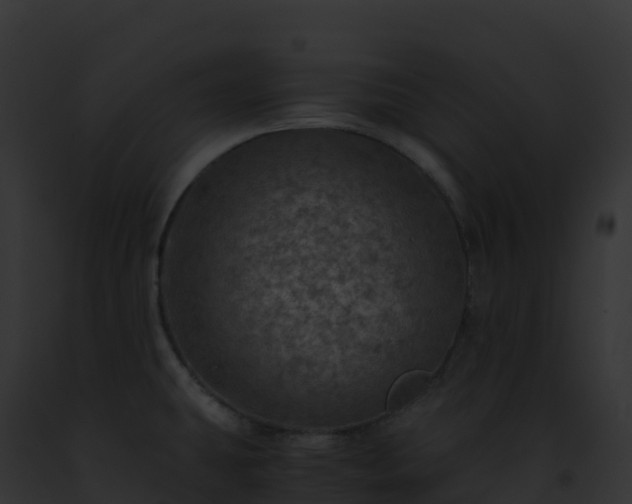X0000093101431200710031449