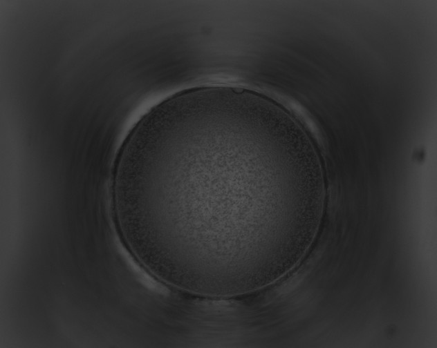 X0000093101432200710031449
