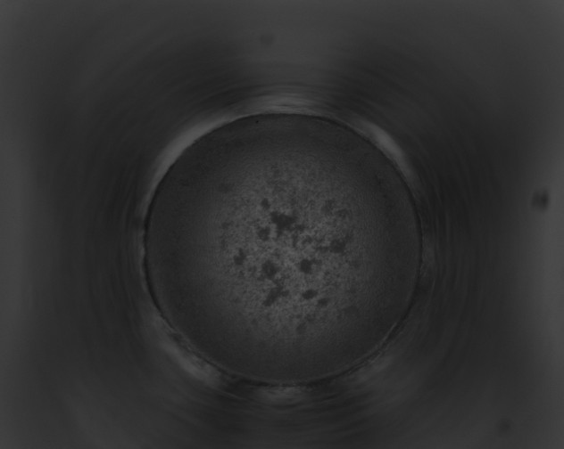X0000093101435200710031449
