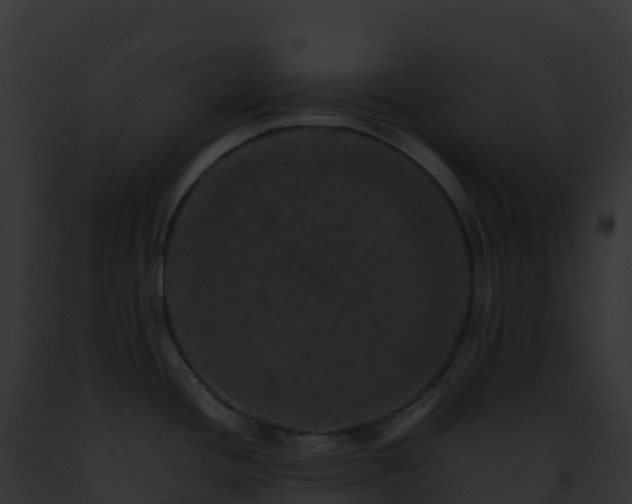 X0000093101436200710031449
