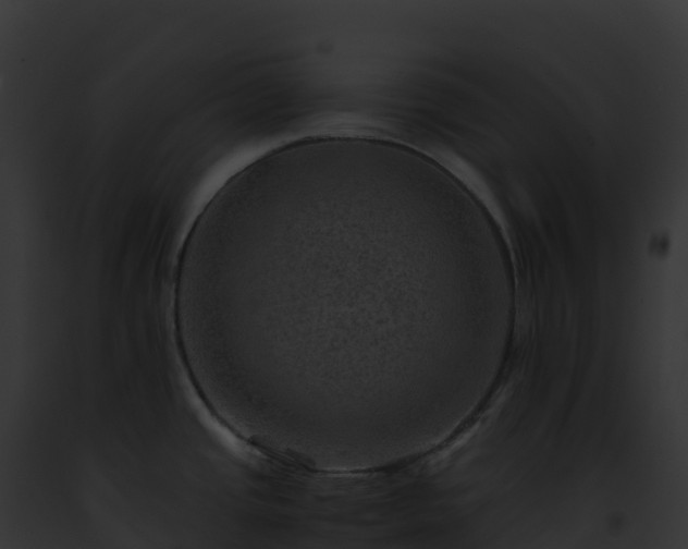 X0000093101437200710031449
