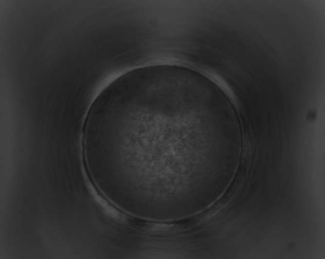 X0000093101439200710031450