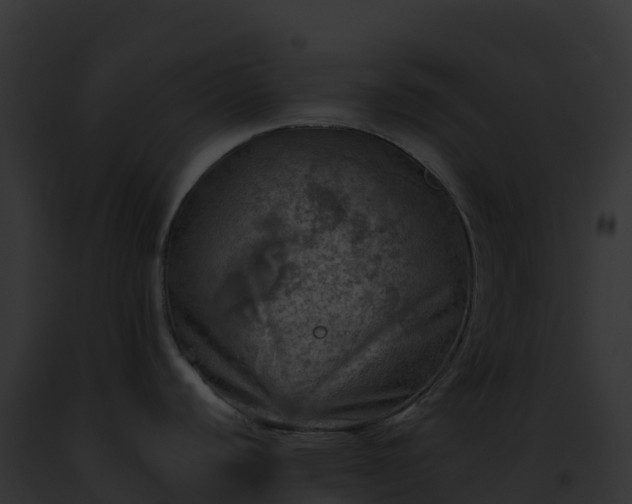 X0000093101440200710031450