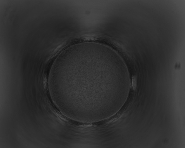 X0000093101444200710031449