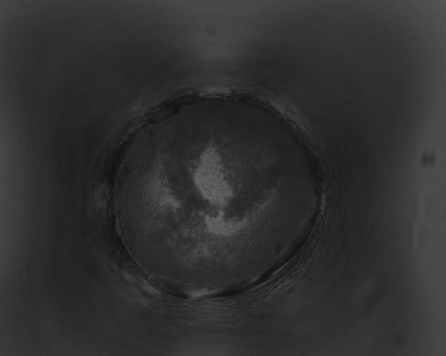 X0000093101445200710031449