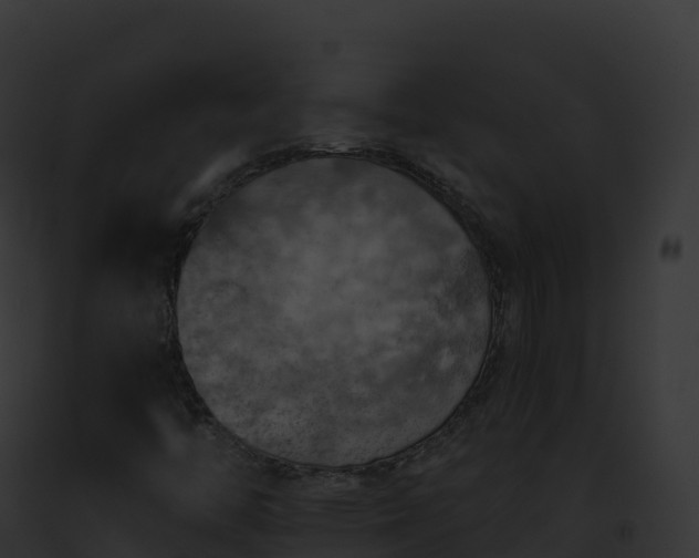 X0000093101446200710031449