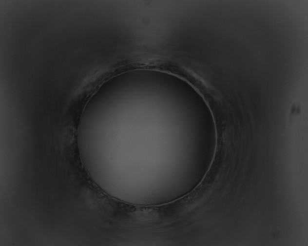 X0000093101447200710031449
