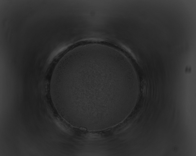X0000093101448200710031449