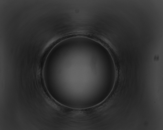 X0000093101450200710031449