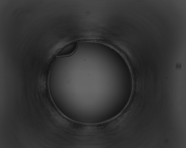X0000093101451200710031449
