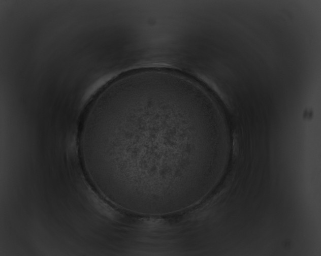X0000093101452200710031449
