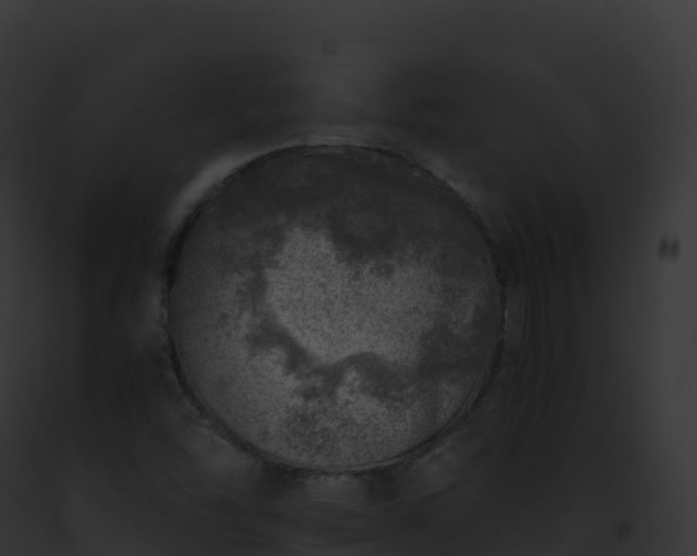 X0000093101454200710031449