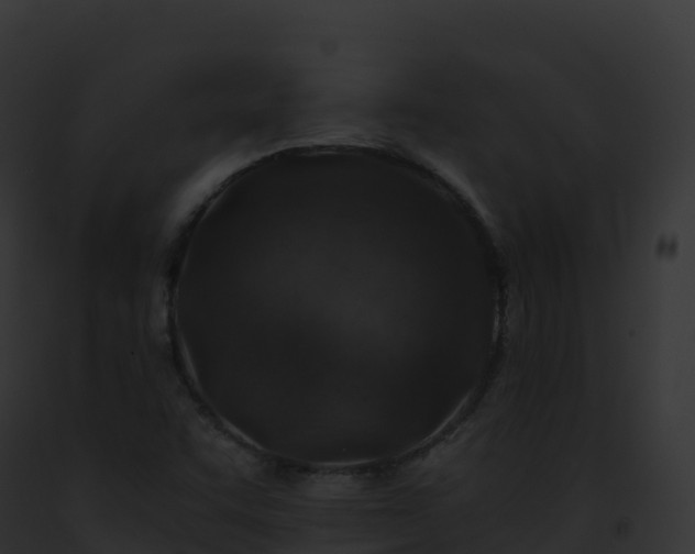 X0000093101455200710031449
