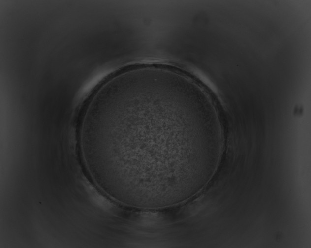 X0000093101456200710031449
