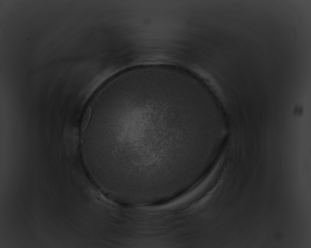 X0000093101457200710031449
