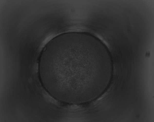 X0000093101459200710031449