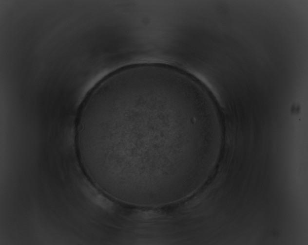 X0000093101460200710031449