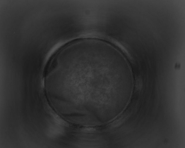 X0000093101462200710031449