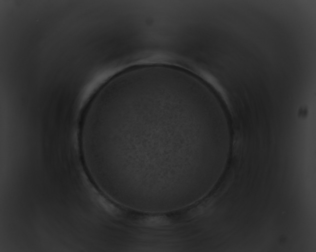 X0000093101464200710031448