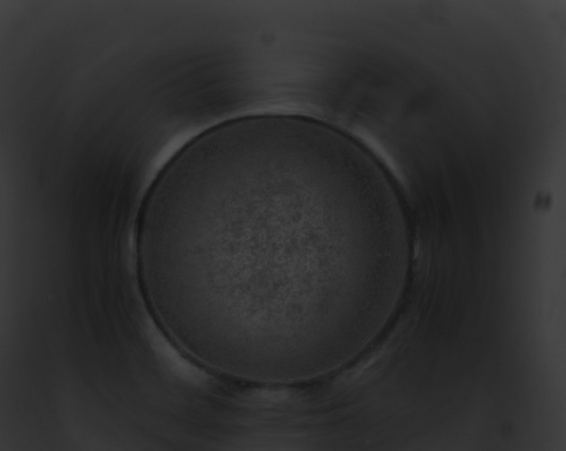 X0000093101468200710031448