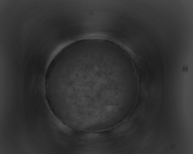 X0000093101470200710031448