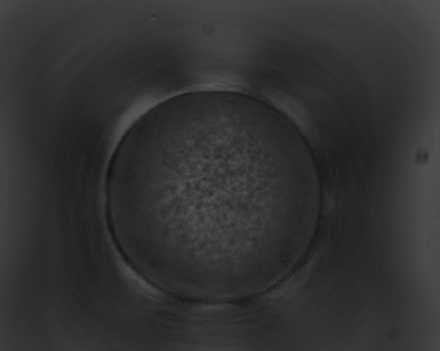 X0000093101471200710031448