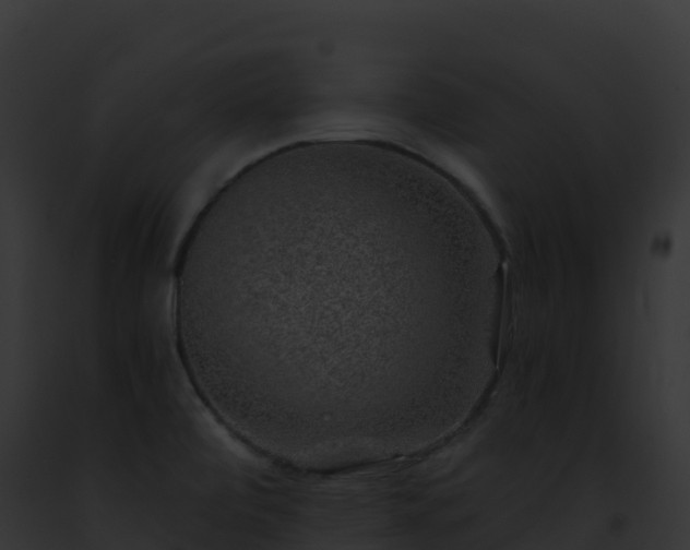 X0000093101472200710031448
