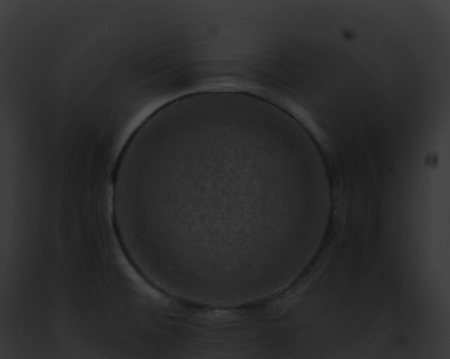 X0000093101476200710031448