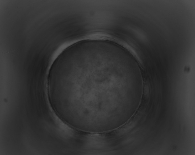 X0000093101478200710031448