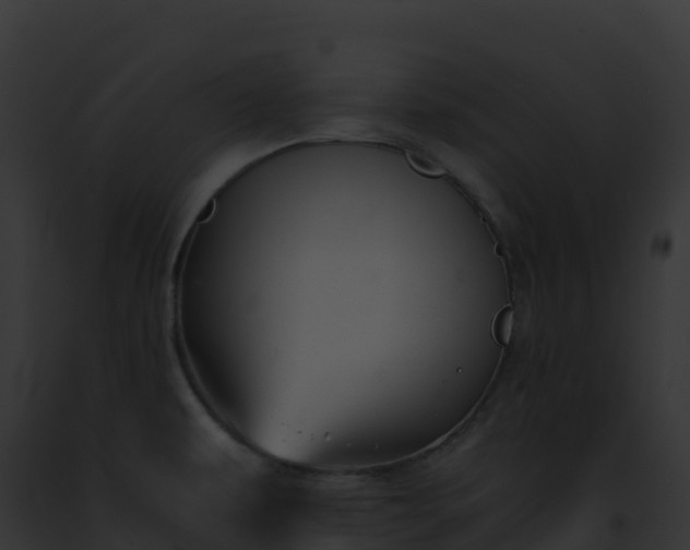 X0000093101479200710031448