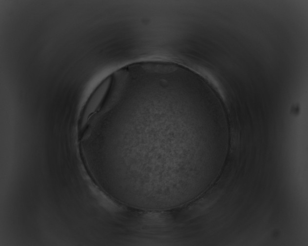 X0000093101480200710031448